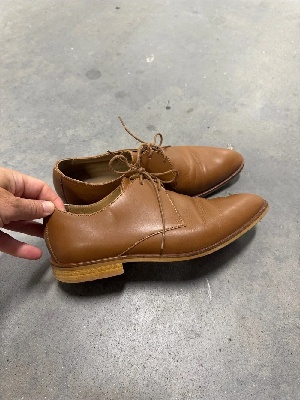 Everlane Cognac The Modern Oxford, 6.5
